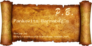 Pankovits Barnabás névjegykártya