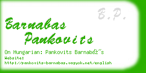 barnabas pankovits business card